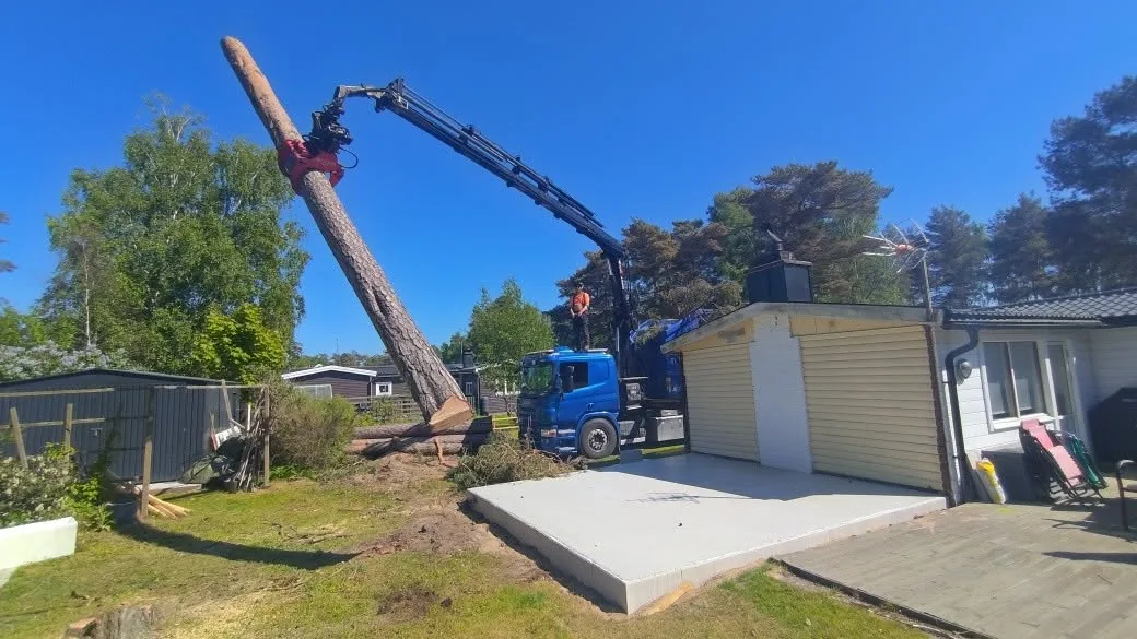 Trädfällning i Laholm med omnejd