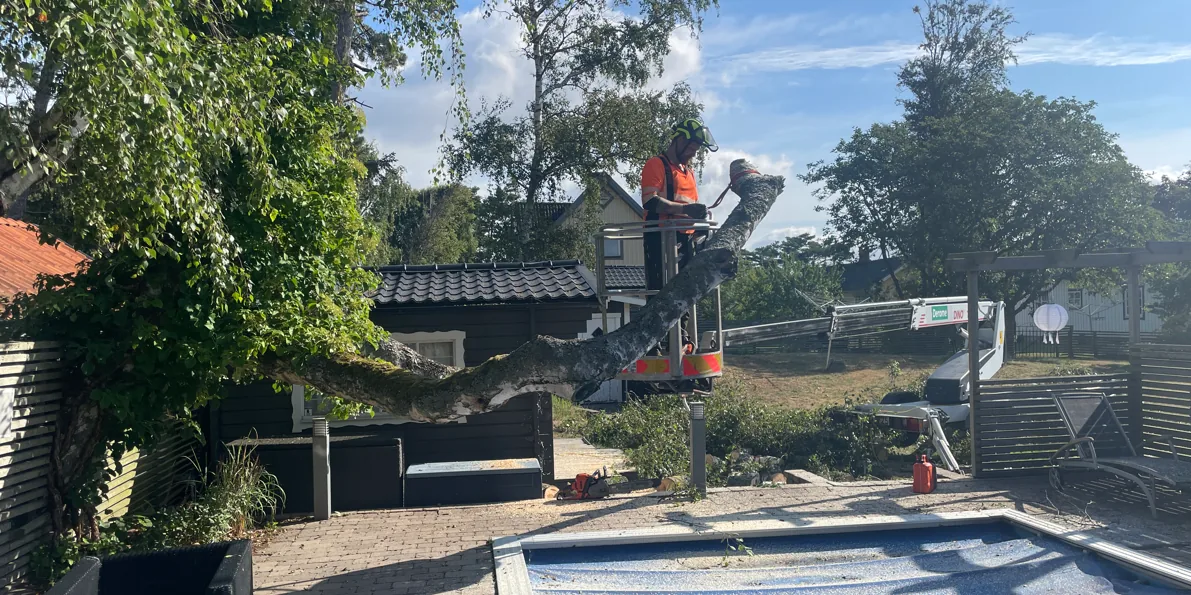Sektionsfällning med lift