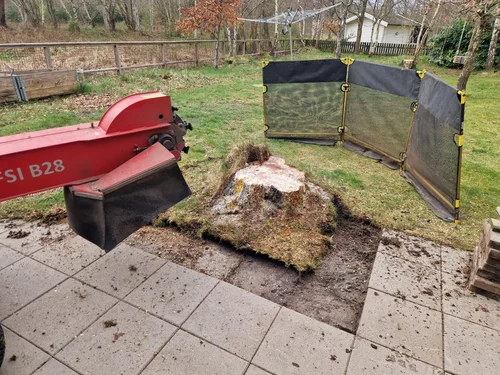 Efter stubbfräsning